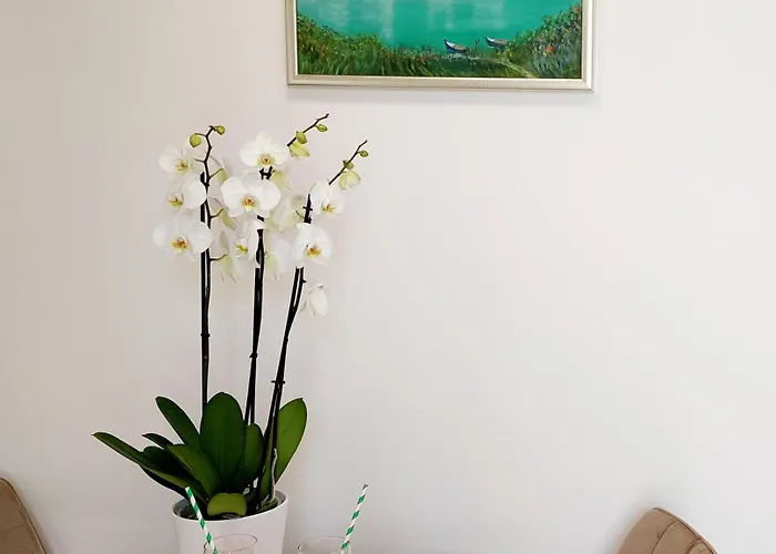 Tonci Lejlighed Opuzen (Dubrovnik-Neretva)